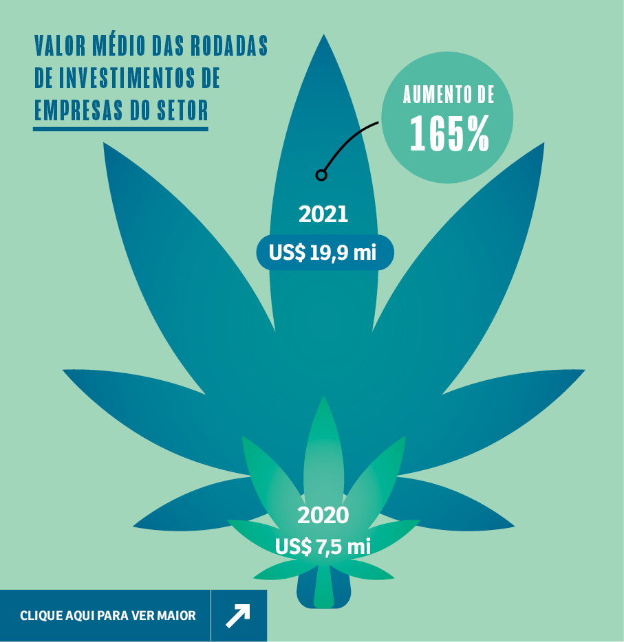 SA288_infografico5 -