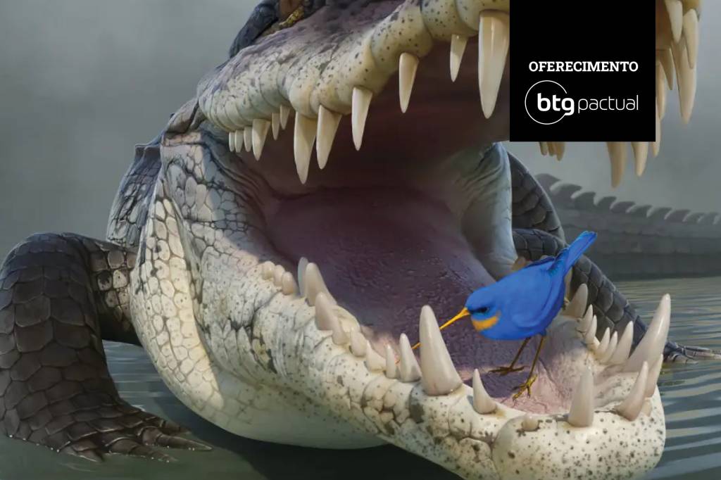 Vale a pena investir em debêntures?