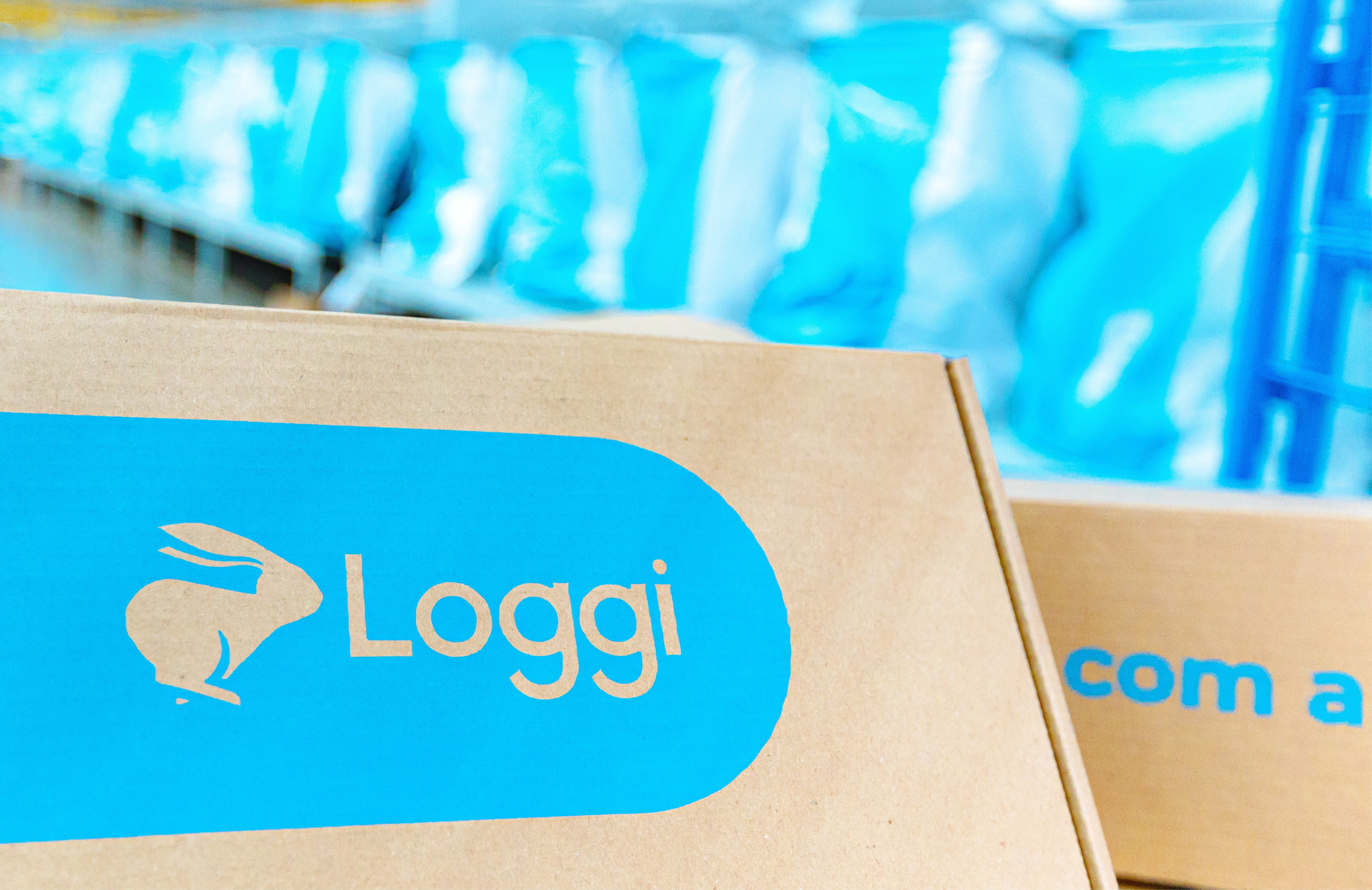 0106-vcsa-loggi-site